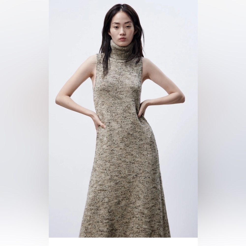 Zara Sleeveless Turtleneck Maxi knit Dress - Brown/light gray/NWT